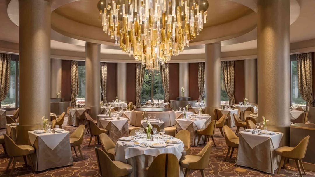 The Arendelle Appetite: A Complete Guide to Every Dish and Drink Inside the New World of Frozen